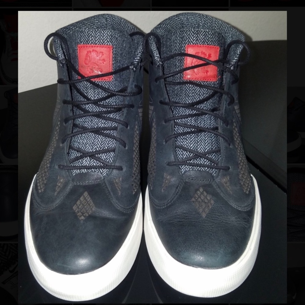 Nike Lebron Virescit Vulnere Virtus 6 (SIZE 11)